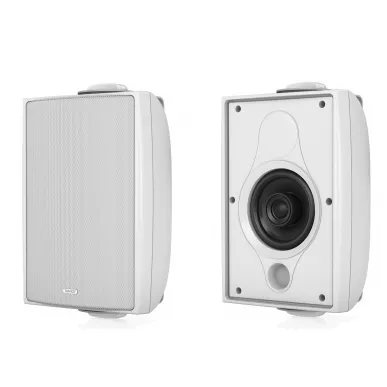 Настенная акустика Tannoy DVS 4-WH